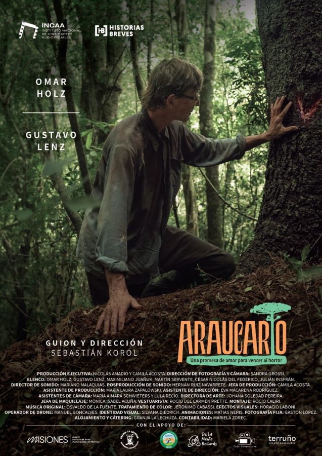 A 50 años del golpe, Posadas apuesta al arte para construir memoria 2 4 - Afiche Araucario - 3