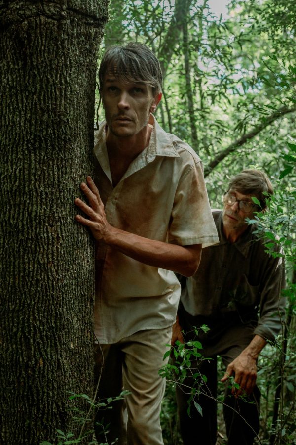 A 50 años del golpe, Posadas apuesta al arte para construir memoria 3 6 - Araucario foto fija - 5