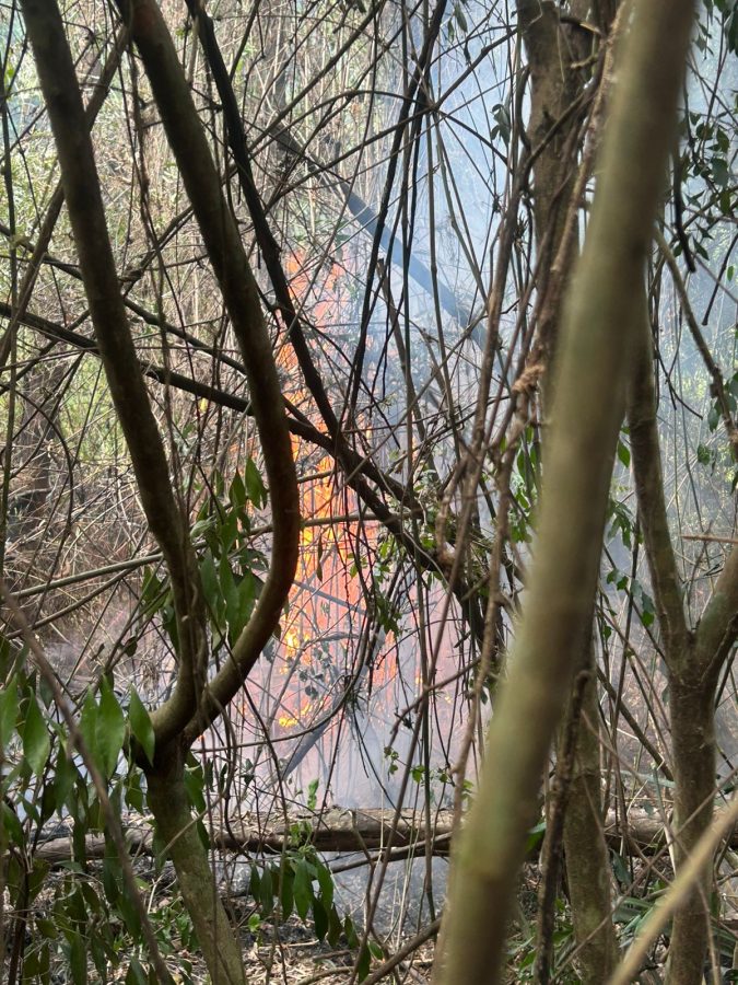 Fuego en malezas de Colonia Yacutinga advierten por riesgos de incendios ante la ola de calor 1 - 1