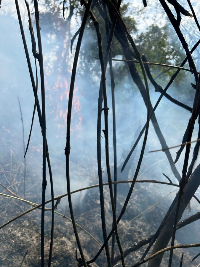 Fuego en malezas de Colonia Yacutinga advierten por riesgos de incendios ante la ola de calor 3 - 7