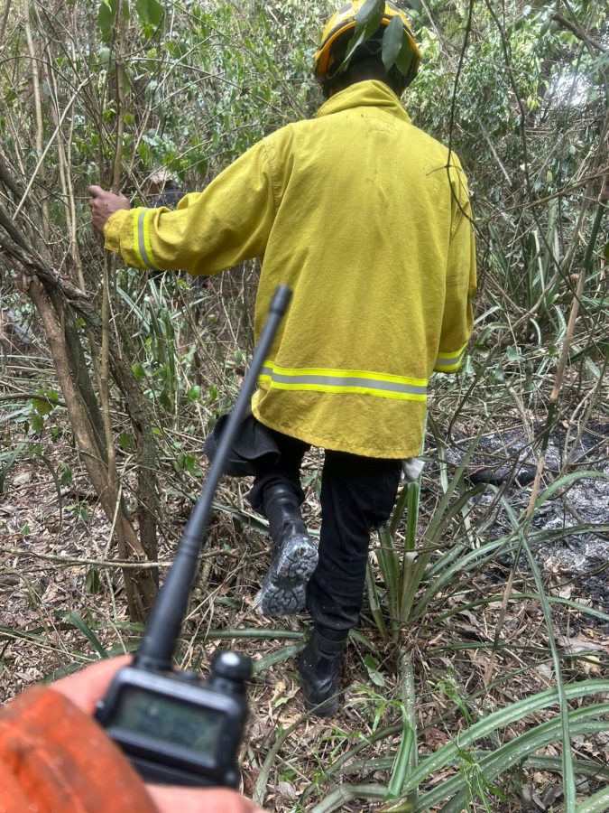 Fuego en malezas de Colonia Yacutinga advierten por riesgos de incendios ante la ola de calor 4 - 5
