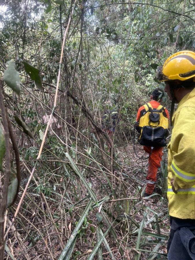 Fuego en malezas de Colonia Yacutinga advierten por riesgos de incendios ante la ola de calor 5 - 3