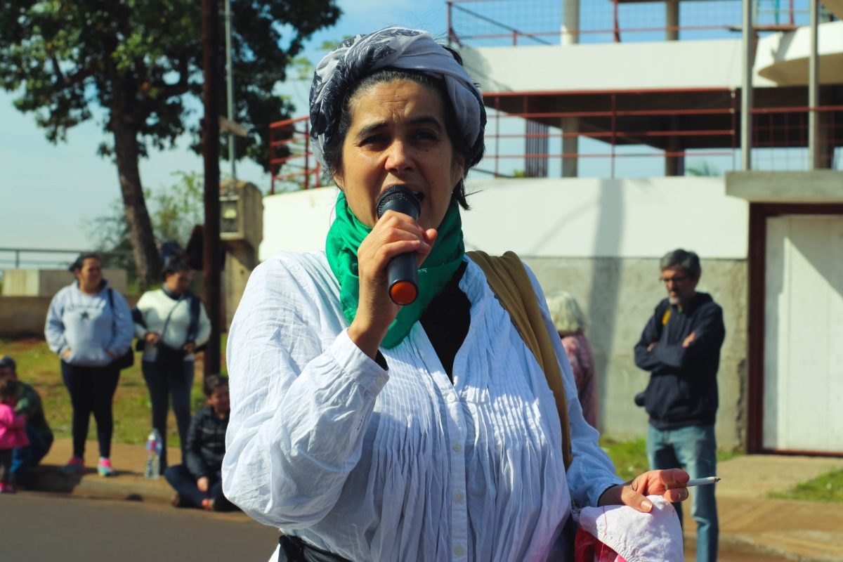 Hallaron muerta a la activista Mariana Pizarro en un colectivo en Posadas 2 - 1