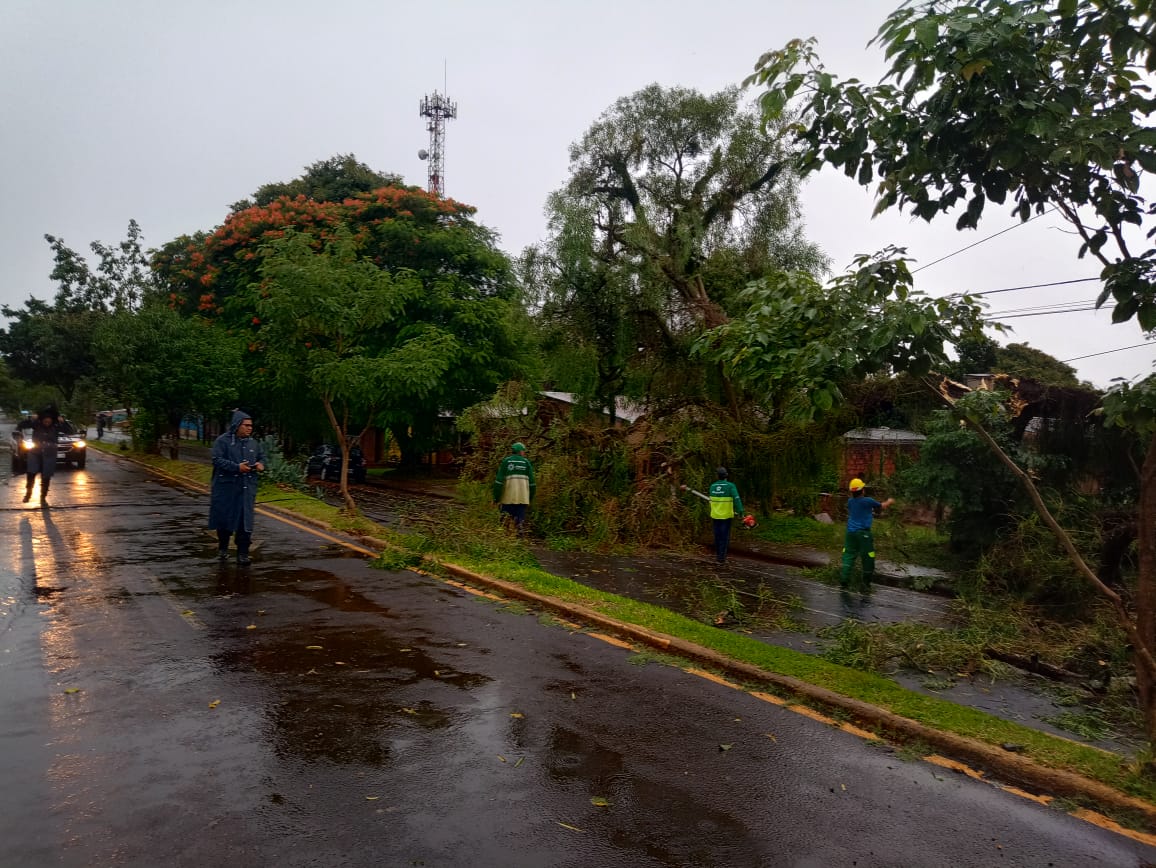 Posadas intensifica operativos de asistencia y prevencion tras el temporal 2 - 5