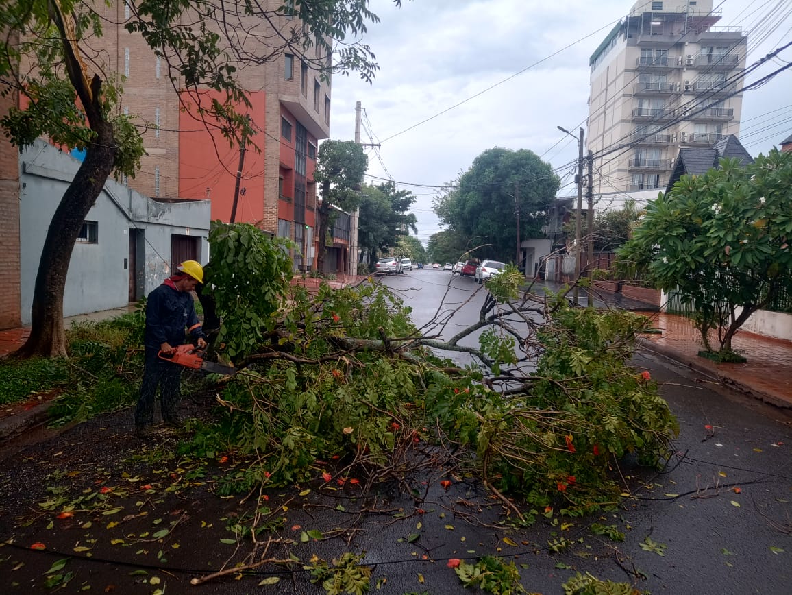 Posadas intensifica operativos de asistencia y prevencion tras el temporal 3 - 1