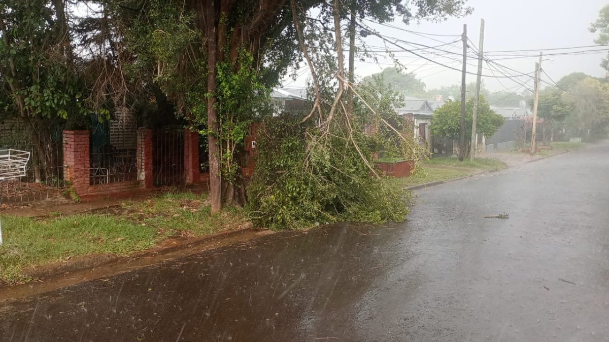 Posadas refuerza operativos y se mantiene laerta ante imprevistos climatologicos 3 - 9