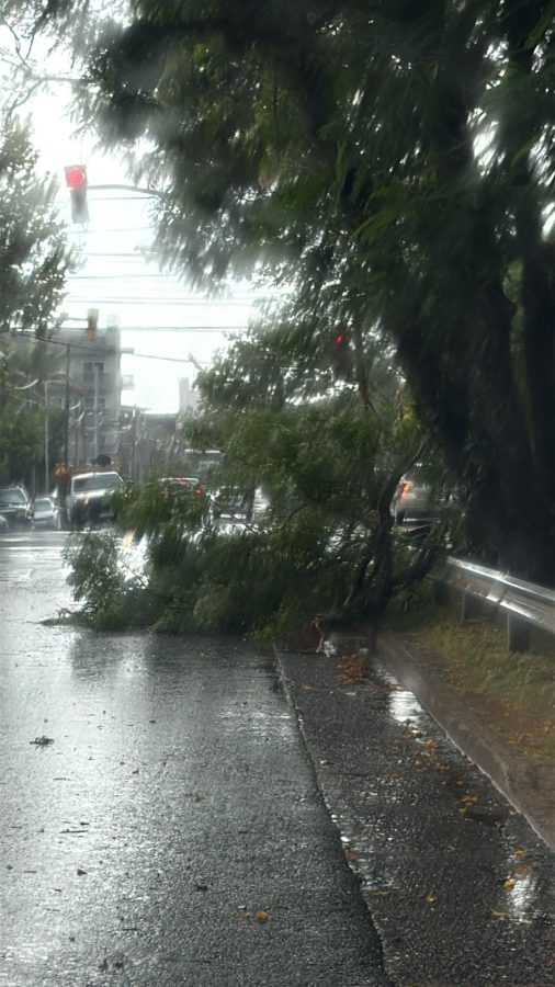Posadas refuerza operativos y se mantiene laerta ante imprevistos climatologicos 4 - 7