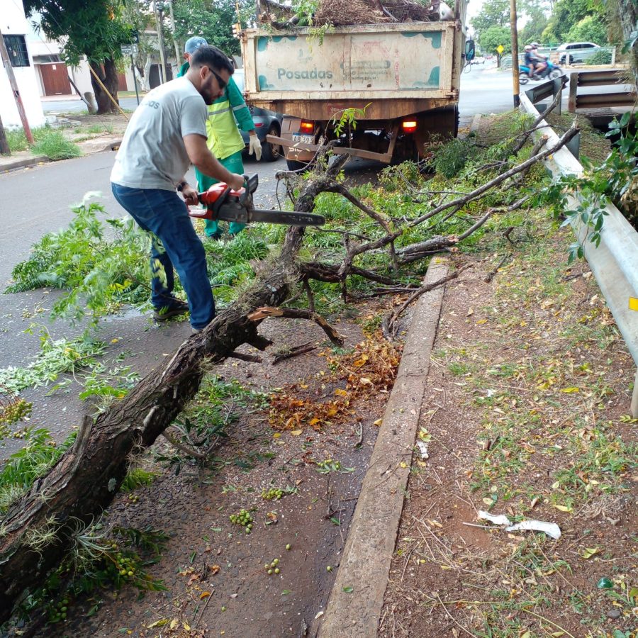 Posadas refuerza operativos y se mantiene laerta ante imprevistos climatologicos 6 - 3