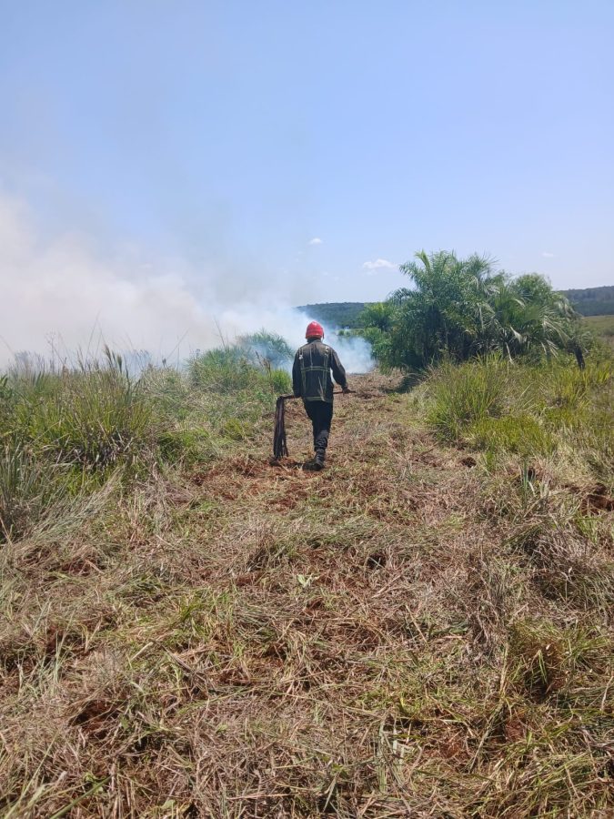 Sofocaron incendio de malezas en cercanias de un aserradero en Loreto 1 - 3