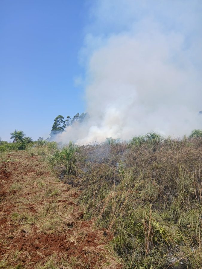 Sofocaron incendio de malezas en cercanias de un aserradero en Loreto 3 - 1