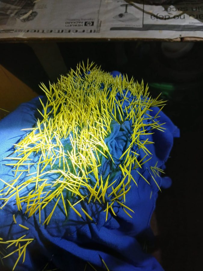 WhatsApp Image 2026 03 07 at 12.05.35 1 - 5