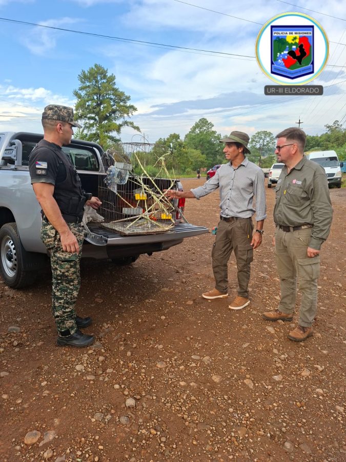 WhatsApp Image 2026 03 07 at 12.05.35 - 7