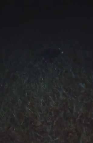 WhatsApp Image 2026 03 07 at 12.05.36 - 3