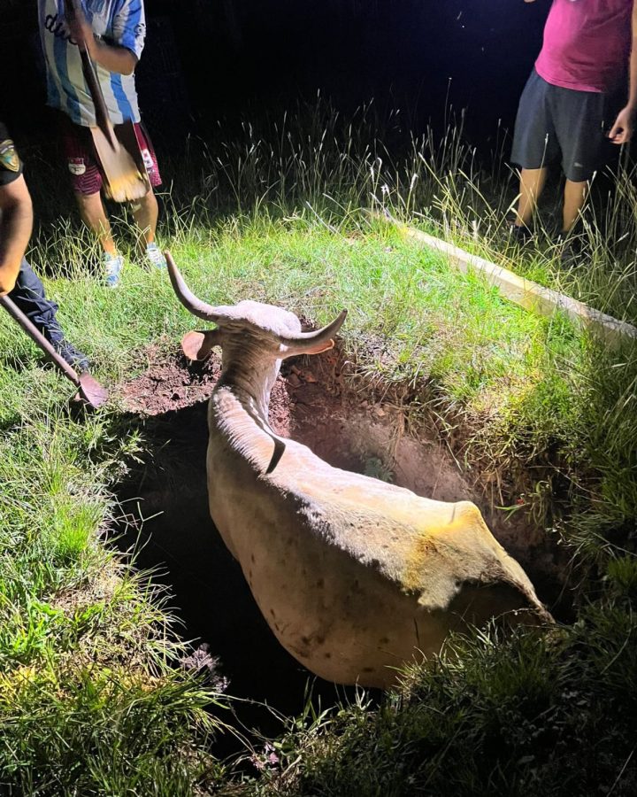 WhatsApp Image 2026 03 10 at 09.55.20 1 - 1