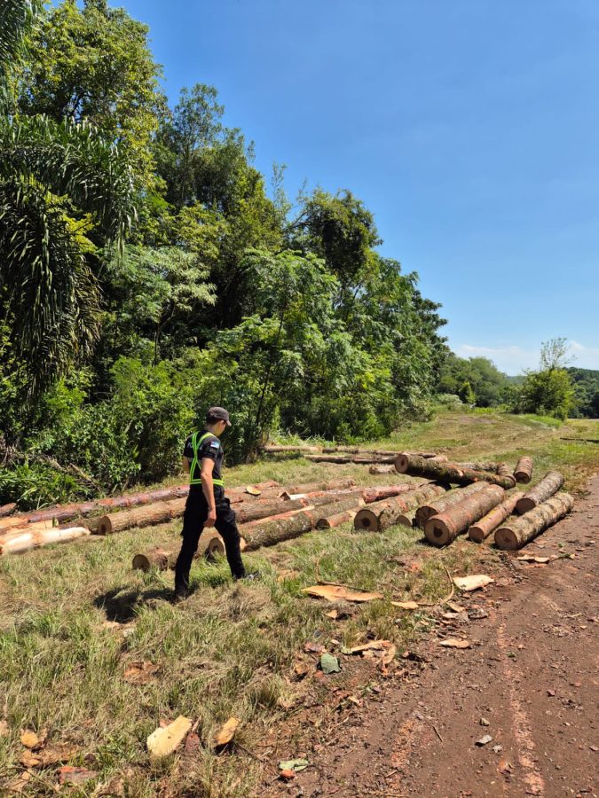 Caraguatay: un camión perdió el acoplado y la carga terminó en la banquina de la Ruta Nacional 12 2 4 - camion cargado 2 - 3