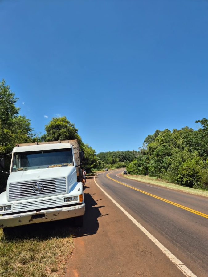Caraguatay: un camión perdió el acoplado y la carga terminó en la banquina de la Ruta Nacional 12 3 6 - camion cargado 3 - 5