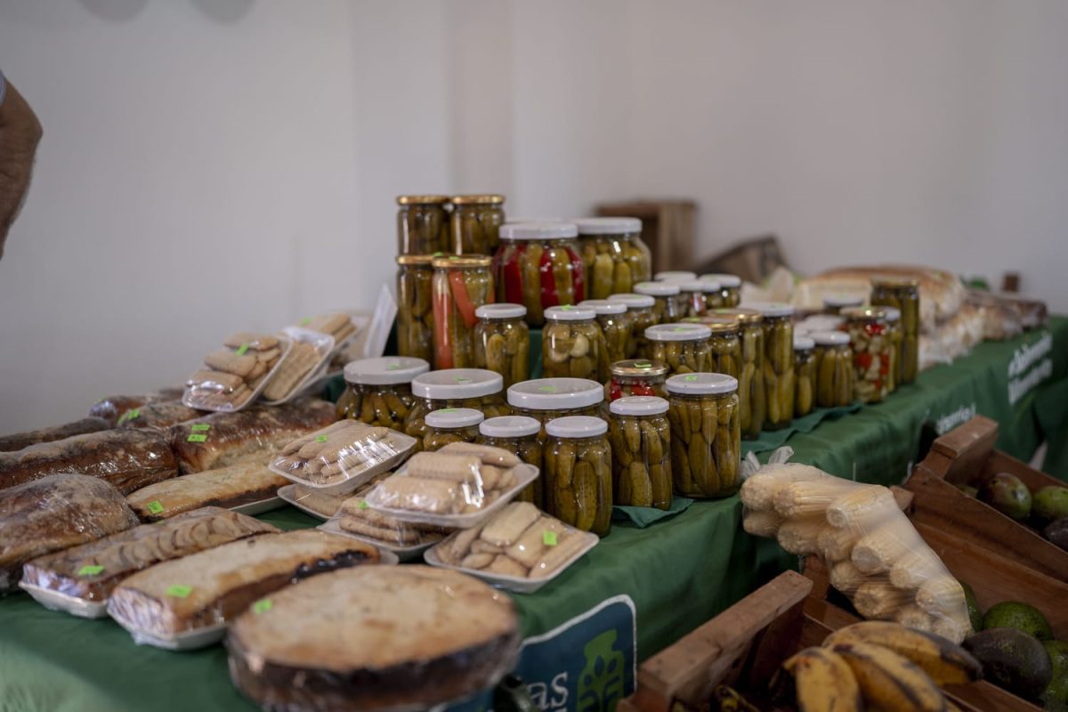 campo grande aniversario 15 - 43