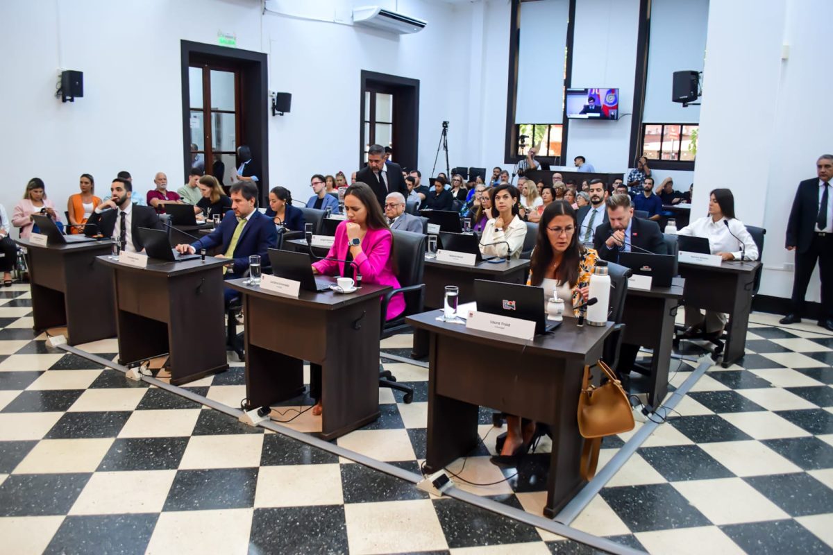 concejo posadas 3 - 5