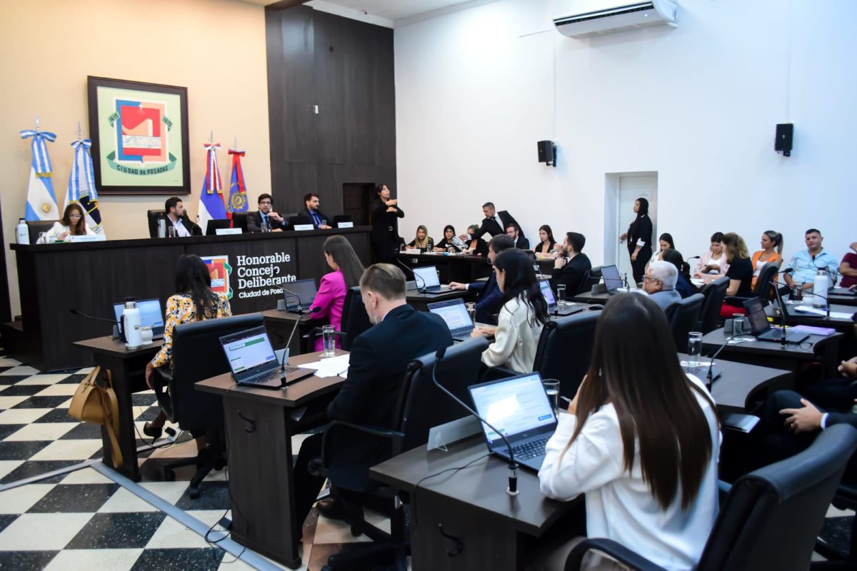 concejo posadas (4)