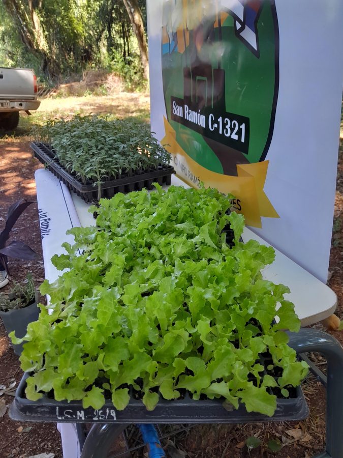 El Imac entregó plantines y capacitó a alumnos y productores en Campo Ramón 1 2 - imac plantines 2 - 1