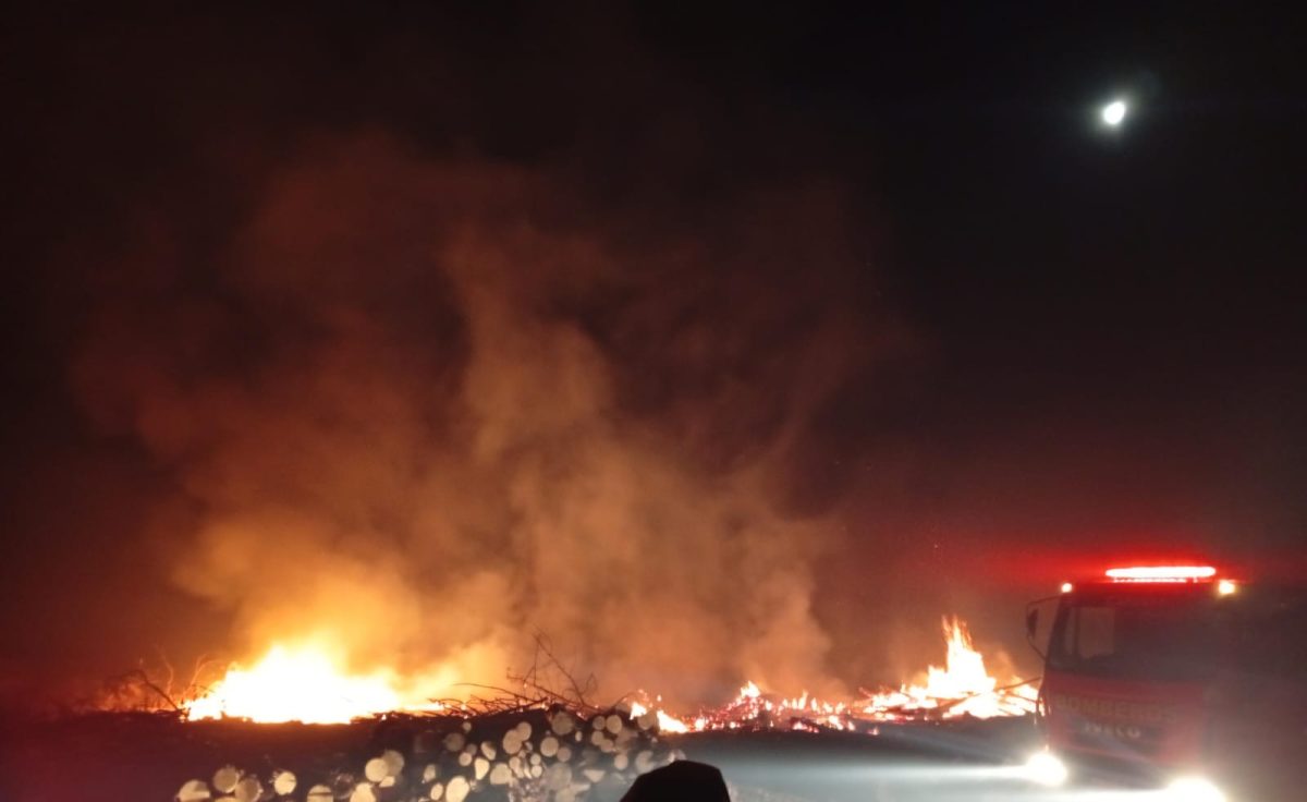 Incendio de malezas y rollos de pino fue controlado en Capioví 1 2 - incendio capiovi 1 - 1