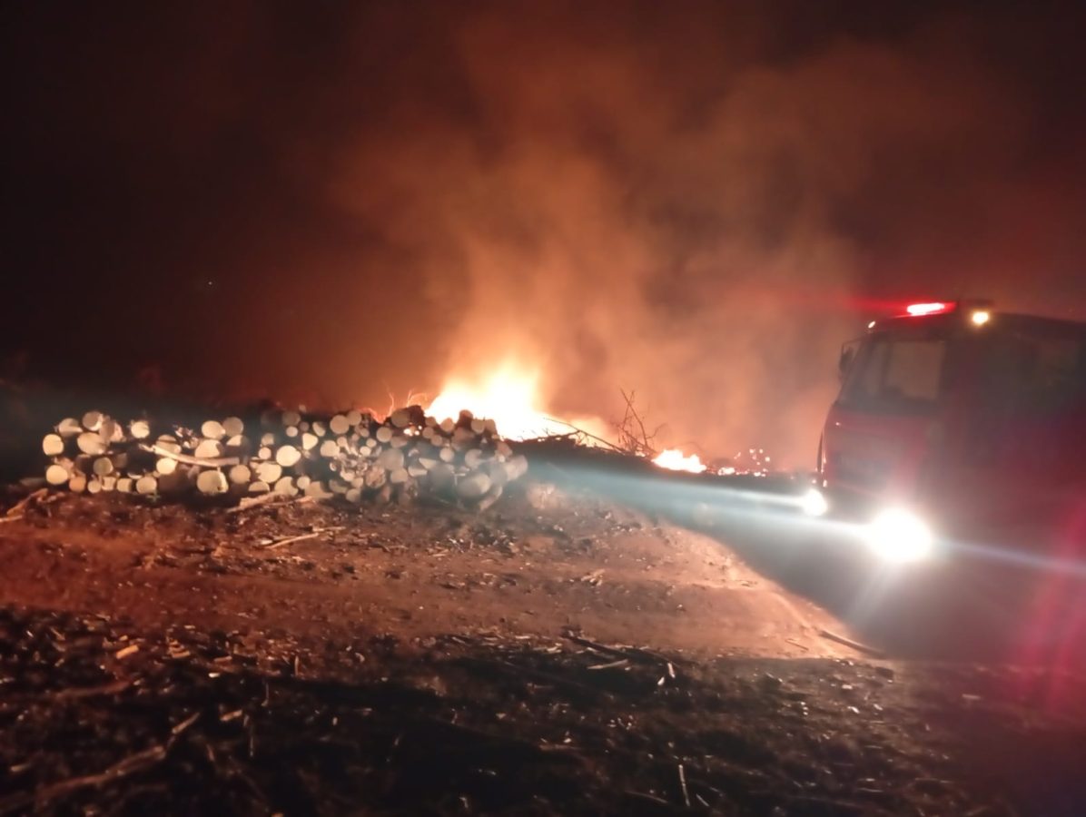 Incendio de malezas y rollos de pino fue controlado en Capioví 3 6 - incendio capiovi 3 - 5