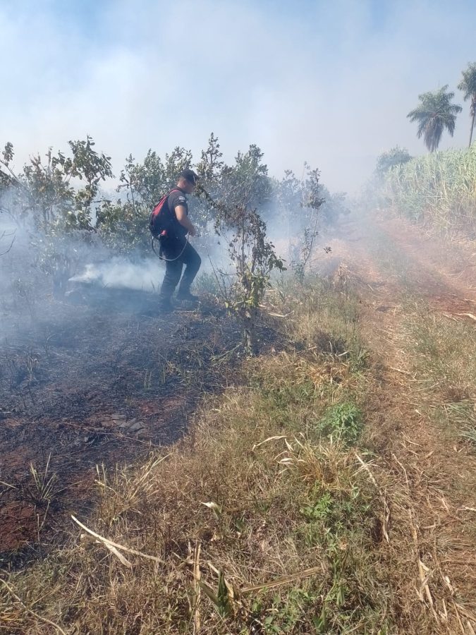 Focos de incendios movilizaron a bomberos en distintos puntos de Misiones 3 6 - incendios 3 - 5