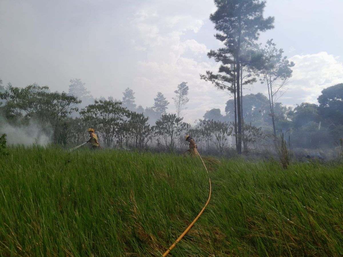 Bomberos controlaron un incendio de malezas en Garuhapé-Mi 1 2 - incendios malezas 2 - 1
