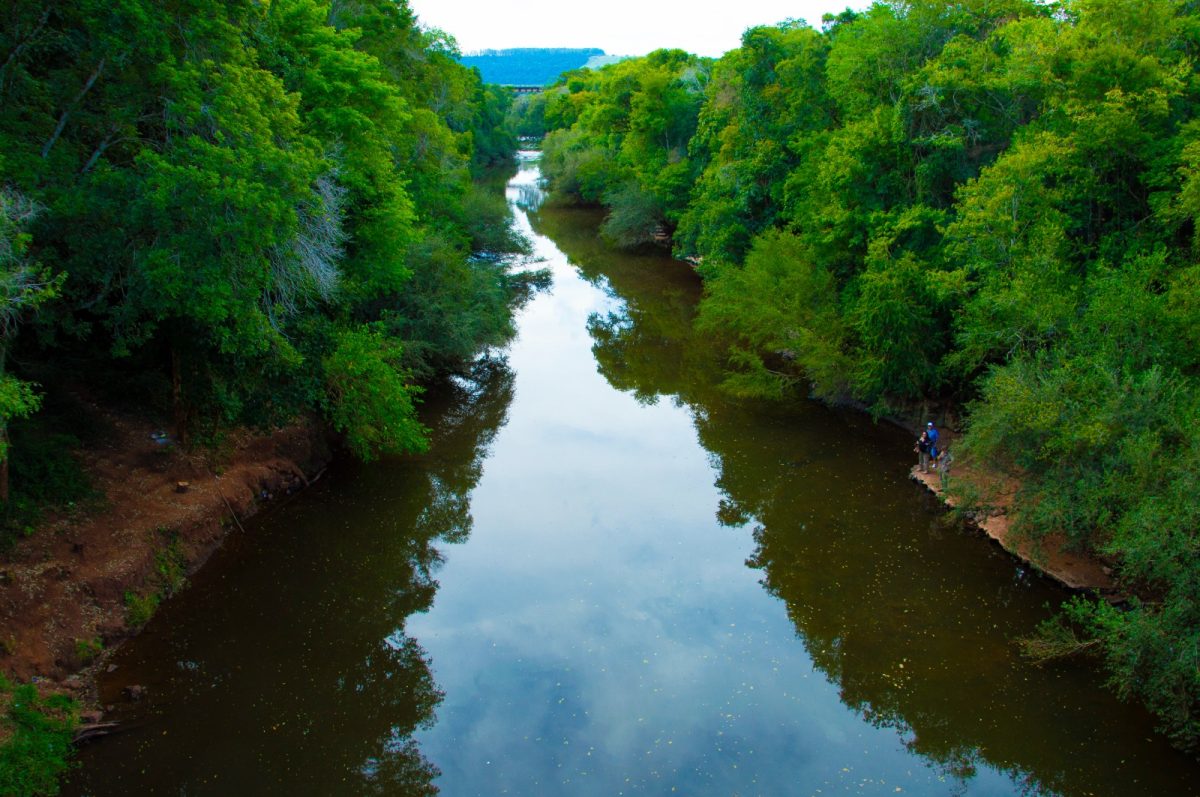 investiga ecologia 2 - 5