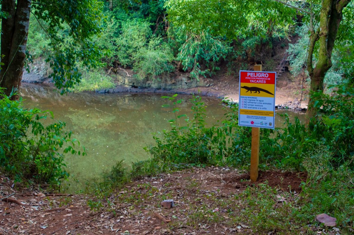 investiga ecologia 5 - 3