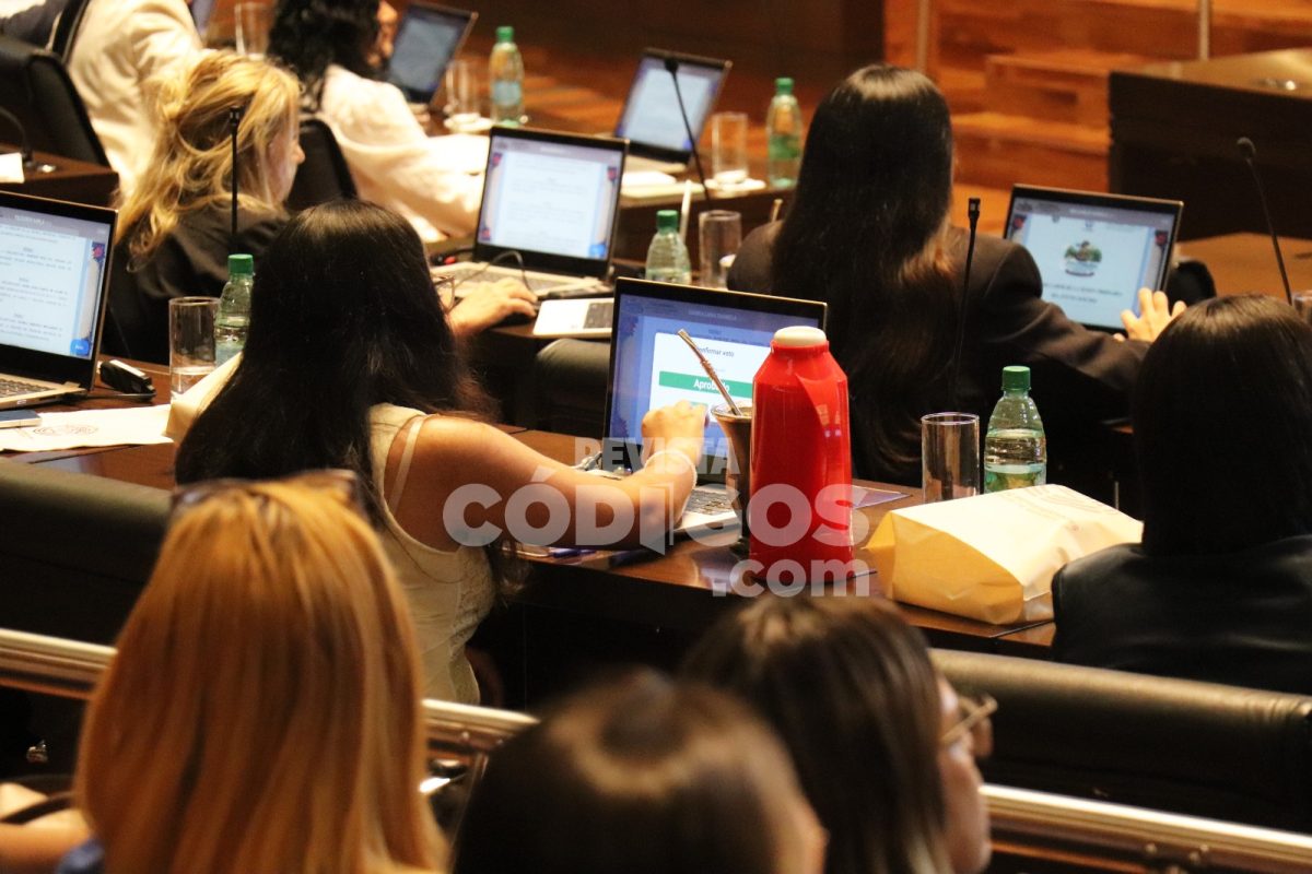 El Parlamento de la Mujer sesionó en la Legislatura con eje en las productoras 15 30 - parlamento de la mujer 10 - 29