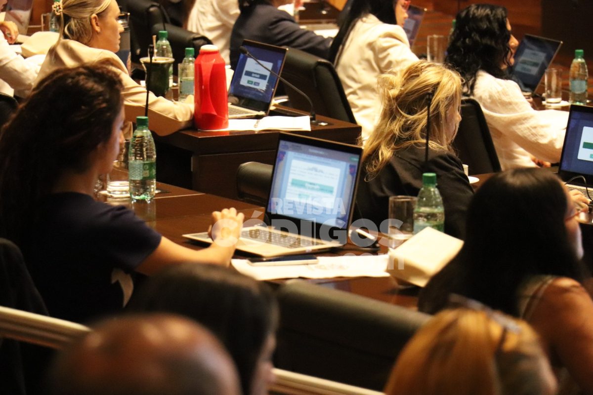 El Parlamento de la Mujer sesionó en la Legislatura con eje en las productoras 16 32 - parlamento de la mujer 11 - 31