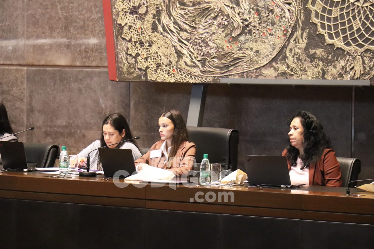 El Parlamento de la Mujer sesionó en la Legislatura con eje en las productoras 6 12 - parlamento de la mujer 2 1 - 11