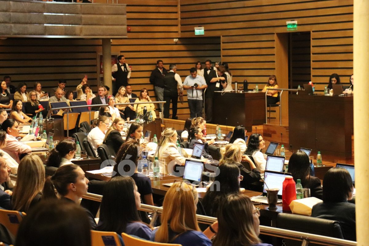 El Parlamento de la Mujer sesionó en la Legislatura con eje en las productoras 8 16 - parlamento de la mujer 4 2 - 15