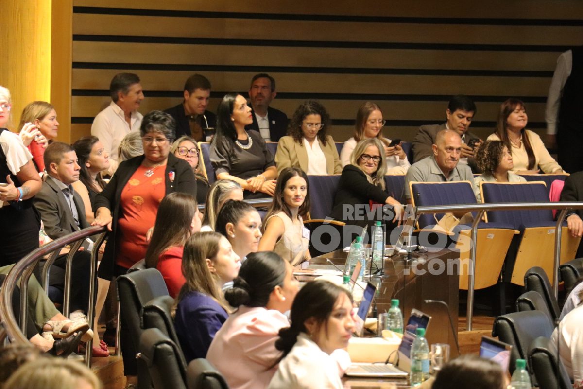 El Parlamento de la Mujer sesionó en la Legislatura con eje en las productoras 9 18 - parlamento de la mujer 5 - 17