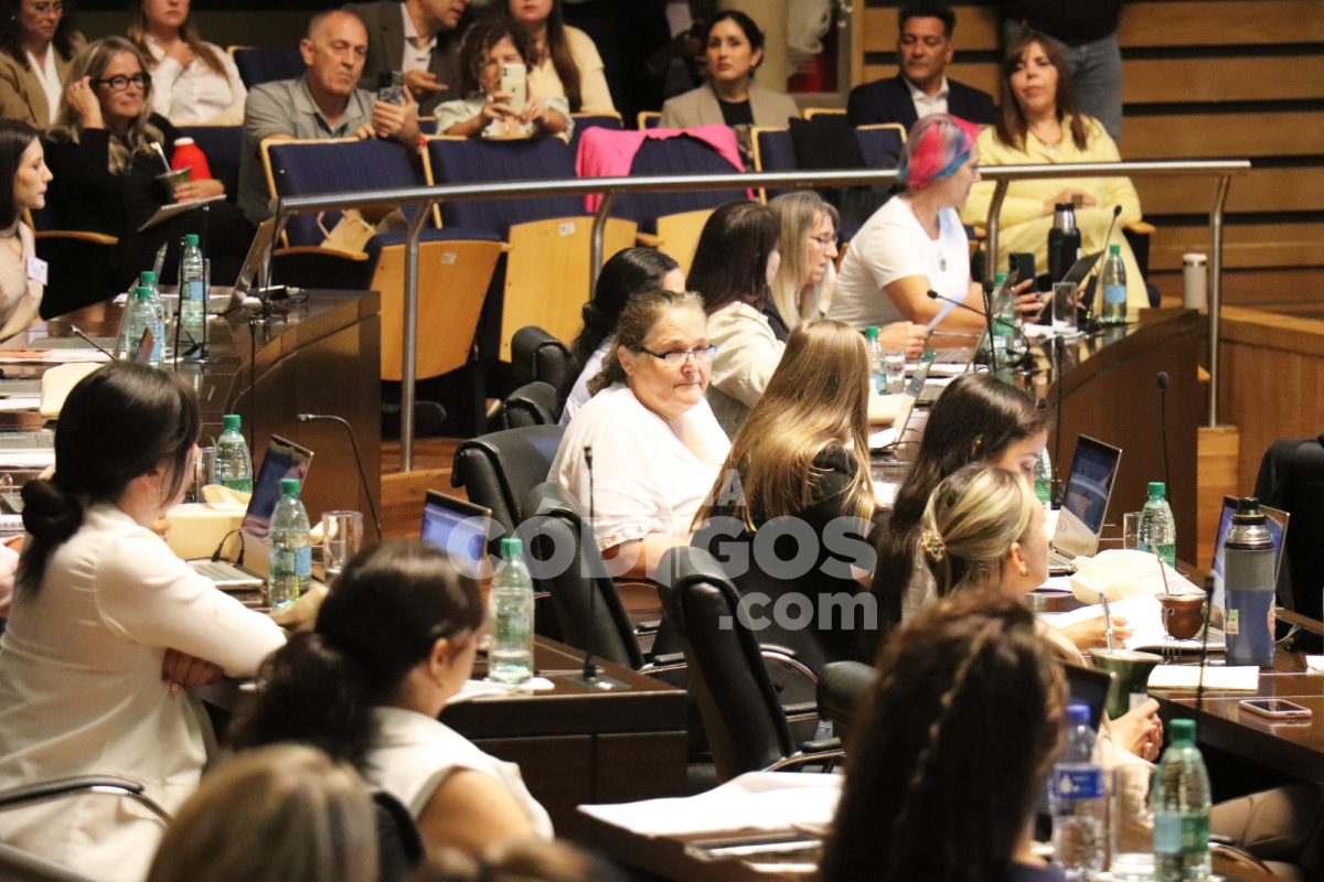 El Parlamento de la Mujer sesionó en la Legislatura con eje en las productoras 1 2 - parlamento de la mujer 9 - 1