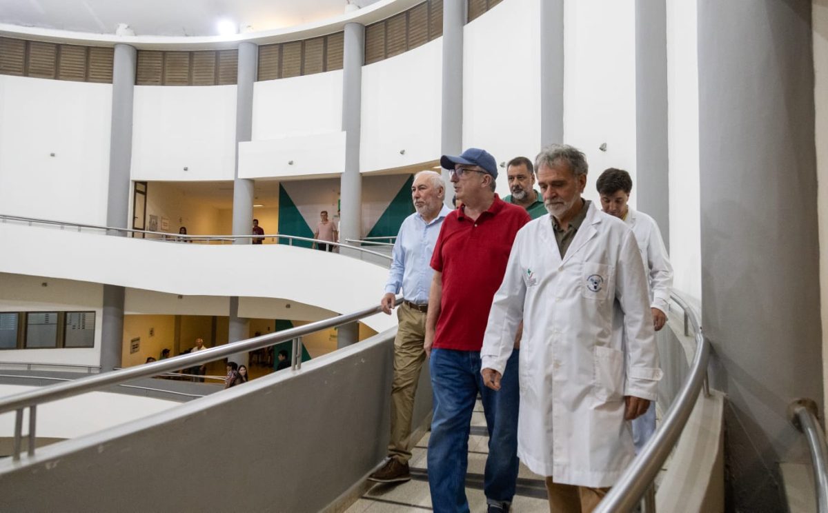 passalacqua oftalmologia 3 - 3