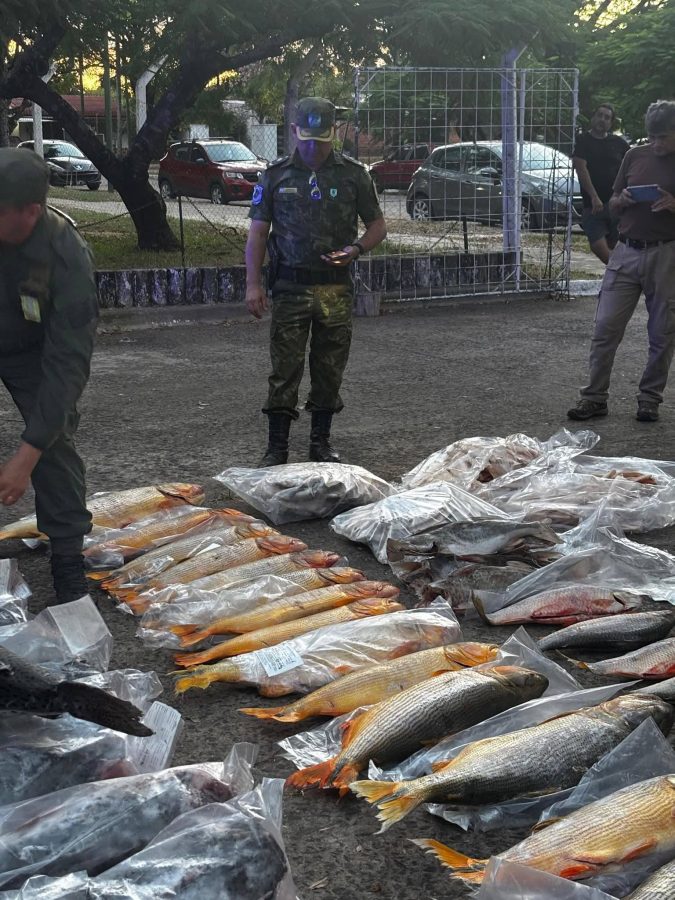 pescados ituzaingo 4 - 7
