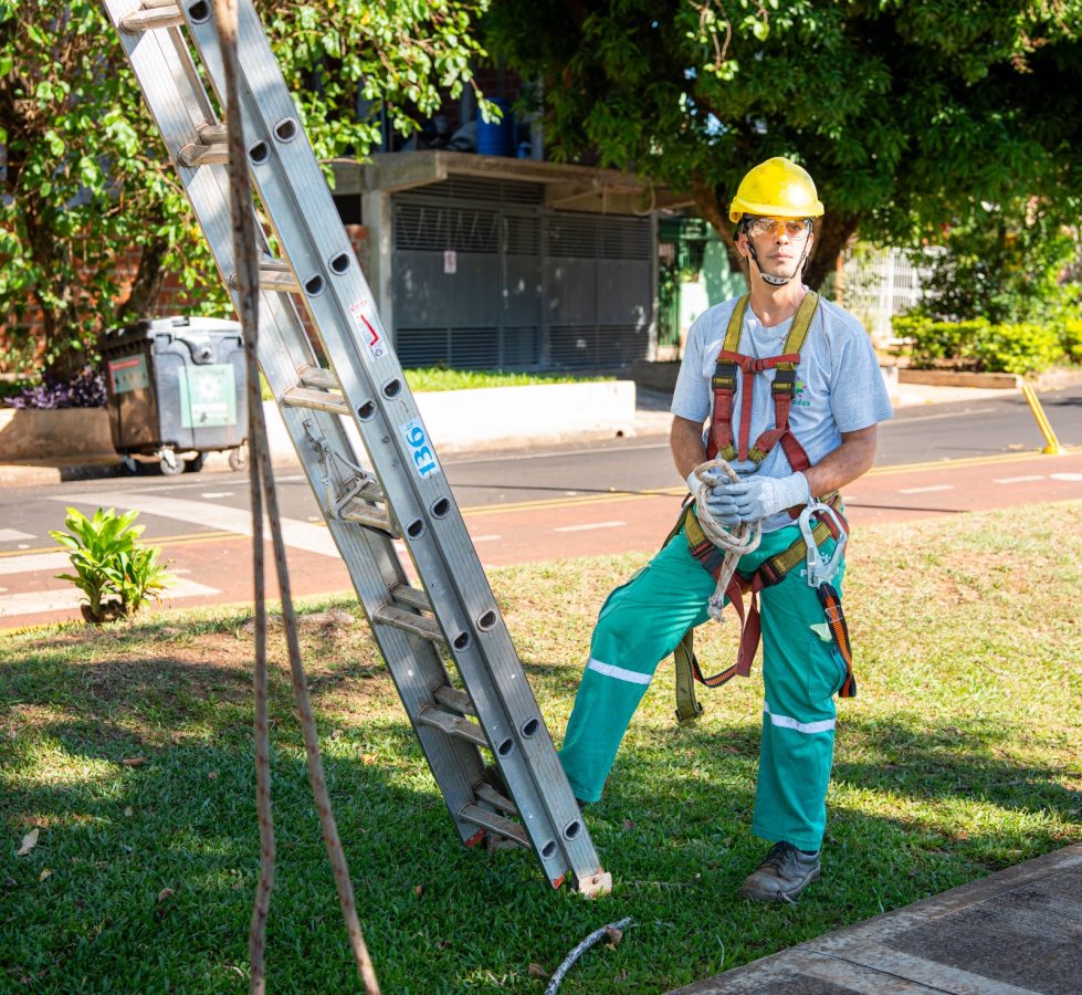 poda en posadas 1 - 1