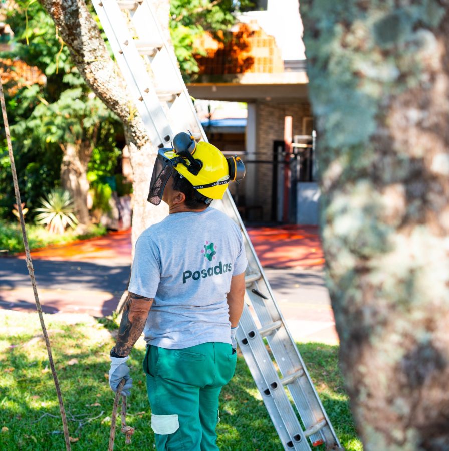 poda en posadas 3 - 5