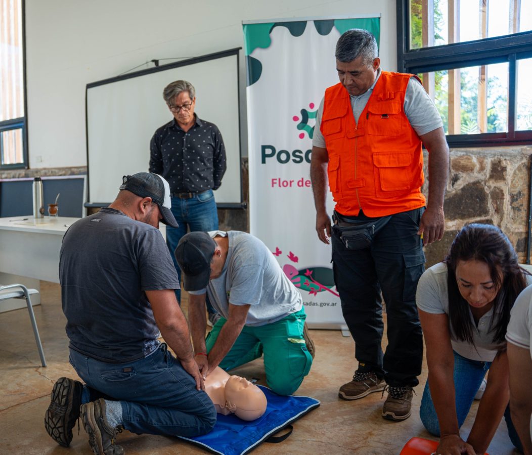 poda en posadas 6 - 9