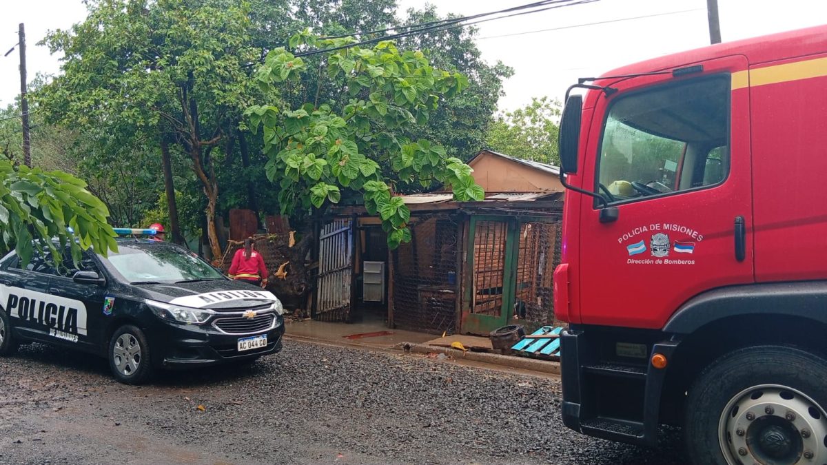 posadas temporal 1 1 - 1