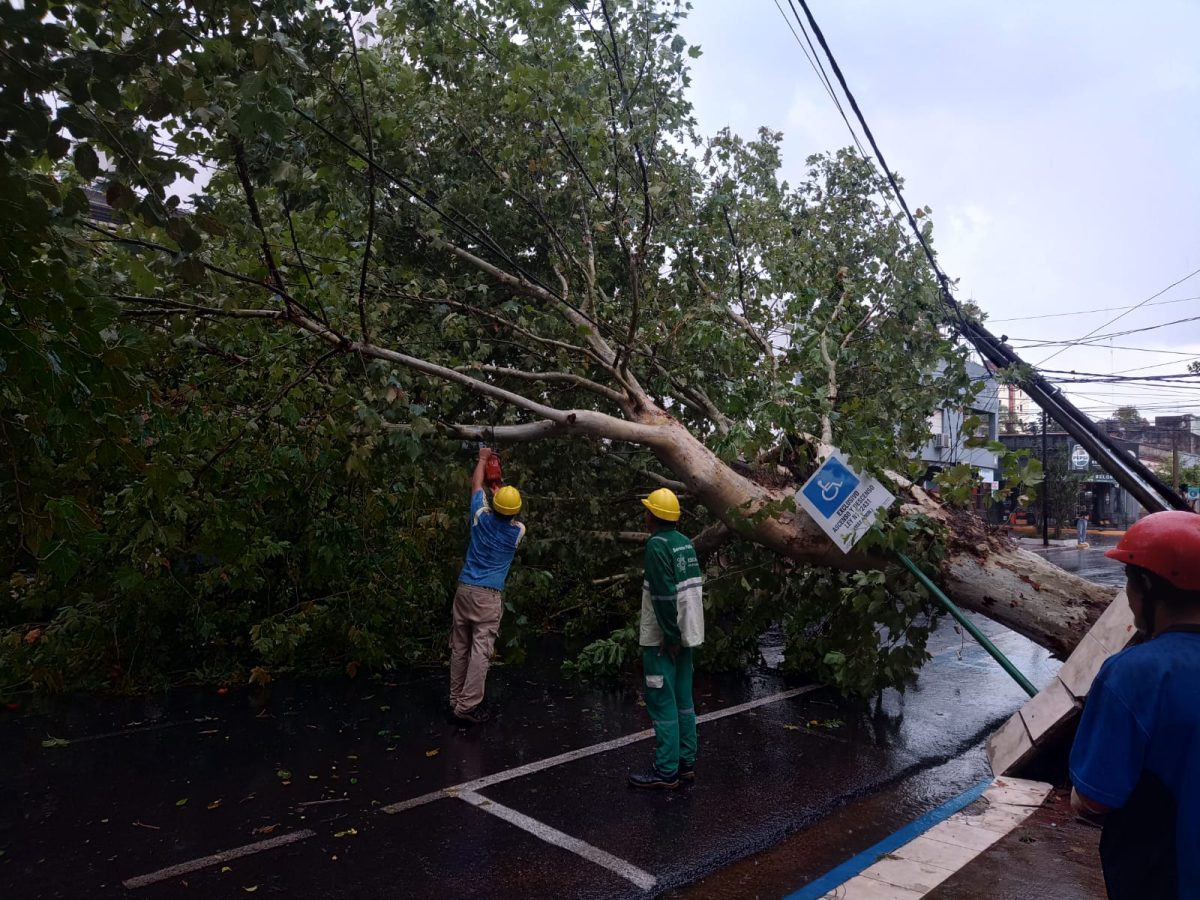 posadas temporal 1 - 1