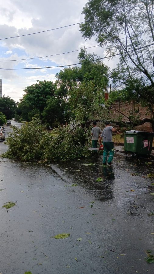 posadas temporal 3 - 3