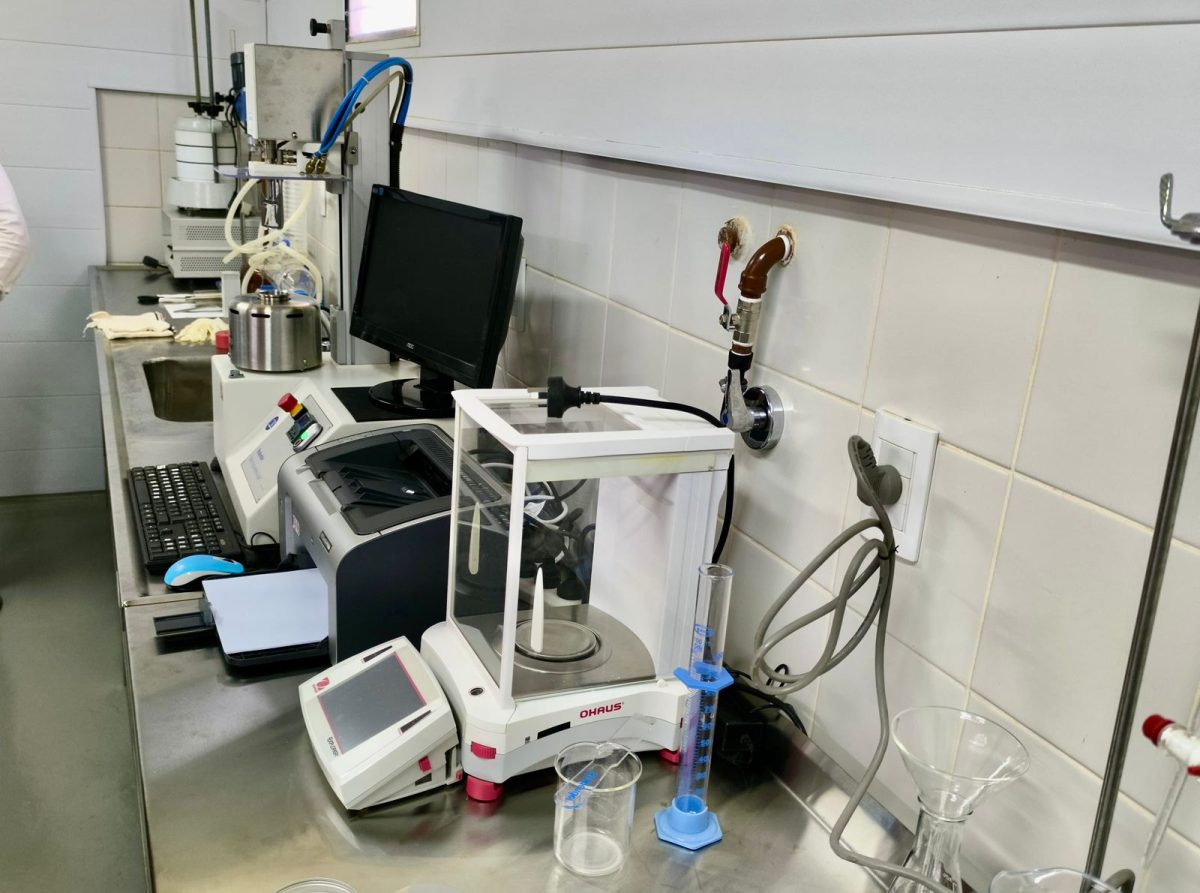 Puerto Rico puso en funcionamiento un laboratorio para el desarrollo de productos derivados de la mandioca 1 2 - puerto rico mandioca 10 - 1