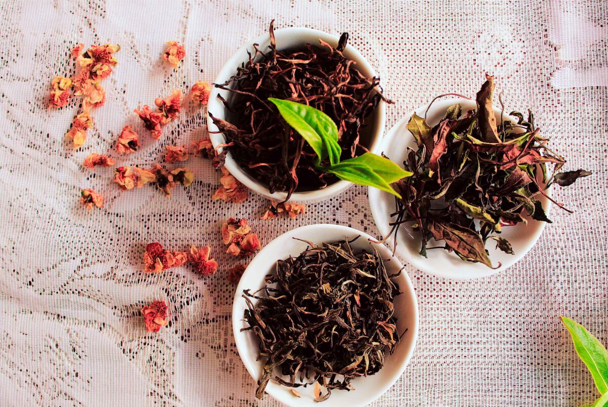 Concurso tealero: Misiones lanza la segunda edición del “Mejor Blend Argentino” 1 1 - Concurso-Te-Blend-20262