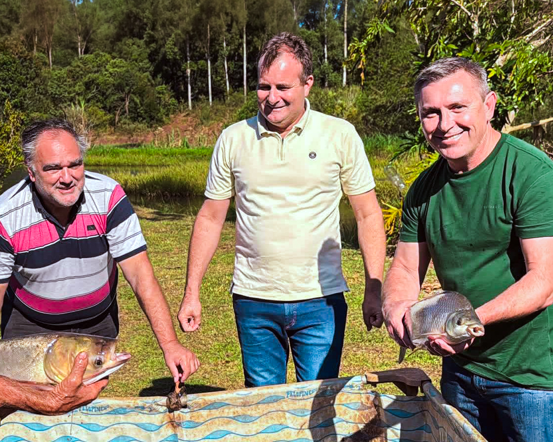 Cinco toneladas de pescado misionero consolidan el crecimiento del sector acuícola 4 8 - Cosecha acuicultura semanasanta 1 - 7