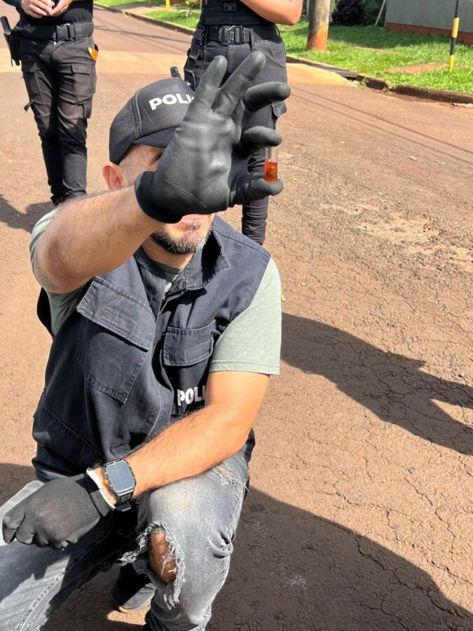 Detuvieron a un presunto distribuidor de droga con una mochila cargada de cogollos de marihuana en Puerto Rico 1 - 3