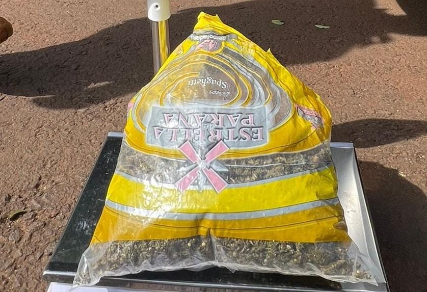 Detuvieron a un presunto distribuidor de droga con una mochila cargada de cogollos de marihuana en Puerto Rico 3 - 1