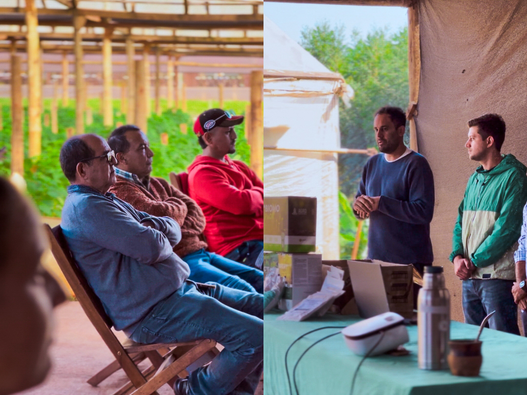 El Agro fortalece plantineras en Misiones con capacitacion tecnica 1 - 1